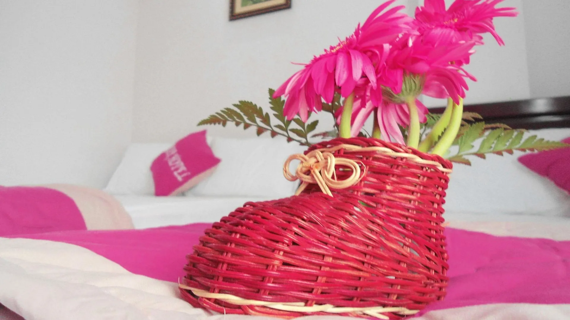 Fulmar Hotel Da Nang
